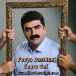 سوره گول