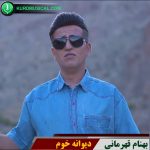 دیوانه خوم