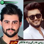 هاوری