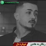 دوباره دل