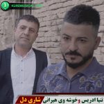 شاری دل