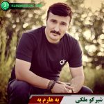 بهارم به