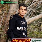 کام گول زورجوانه