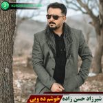خوشم ده ویی