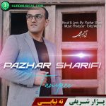 ته نیایی