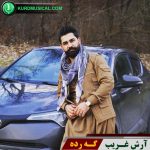 گرده