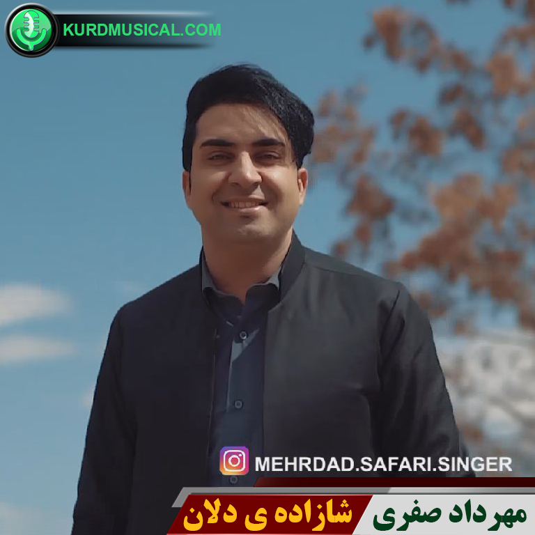 شازاده ی دلان