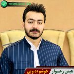 خوشم ده ویی