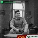 رازی دل