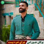 چرای نمره 20