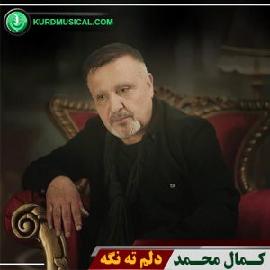 دلم ته نگه