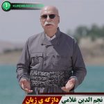 داژگه ی ژیان